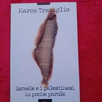 Israele e i palestinesi in poche parole -Travaglio