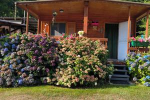 Roulotte con preingresso