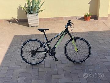 Bicicletta