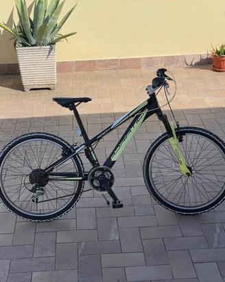 Bicicletta