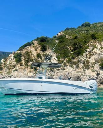 Boston Whaler Outrage 270