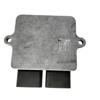 Centralina CDI DELPHI FH MASH FANTIC FAMILY SIDE/S