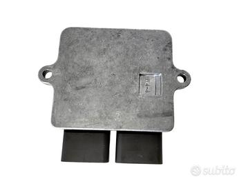 Centralina CDI DELPHI FH MASH FANTIC FAMILY SIDE/S