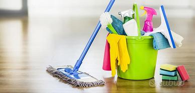 Ragazze per impresa di pulizie