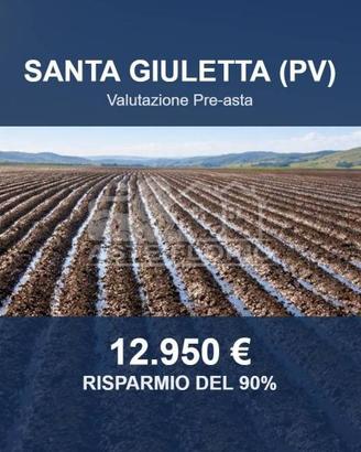 Immobile in asta di 53969 m² a Santa Giuletta