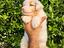 Immagine 4