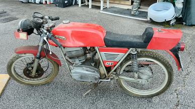 MV Agusta 125 Sport
