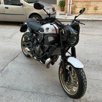Yamaha xsr xtribute