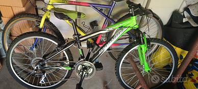 bicicletta 