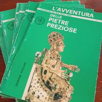 L' avventura dei beni della terra 