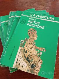 L' avventura dei beni della terra 