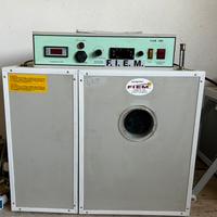 Fiem colibrì Bird per pappagalli e rapaci