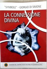 Giorgio Di Simone - La Connessione Divina