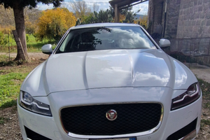 Jaguar XF 30d V6 prestige 300CV