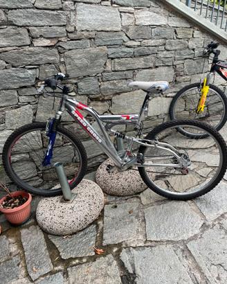 Bicicletta
