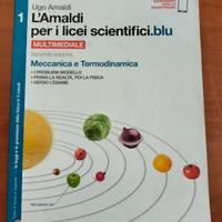 L Amaldi 1 seconda edizione