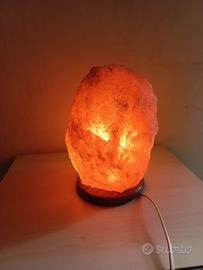 Lampada del sale dell himalaya