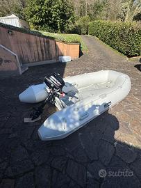 Mercury 3.5 cv 2024 Arimar 310 softline