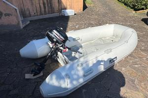 Mercury 3.5 cv 2024 Arimar 310 softline