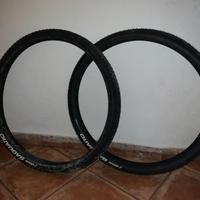 Coppia Copertoni Vittoria Saguaro 29 x 2 .0