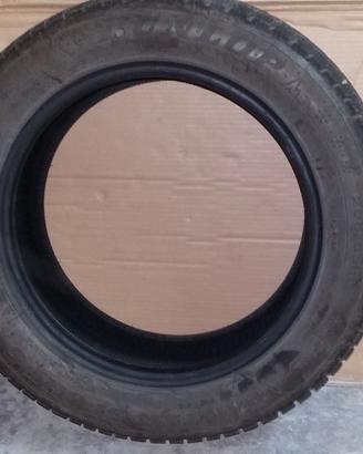 COPPIA GOMME INVERNALI