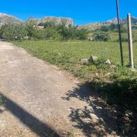 Monreale strasatto villetta 3000 mq terreno edif