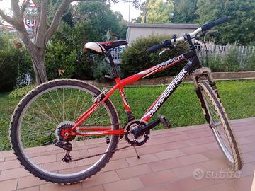 bicicletta 