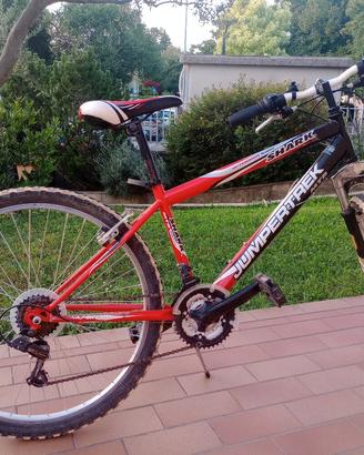 bicicletta 