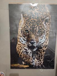 puzzle leopardo con cornice e vetro