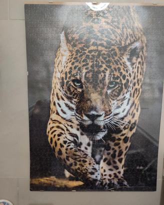 puzzle leopardo con cornice e vetro