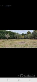 Terreno edificabile 1000 mq pianeggiante