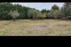 Terreno edificabile 1000 mq pianeggiante