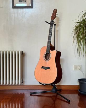 Chitarra Acustica Antonio Giuliani DN-2