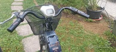 Bicicletta Elettrica