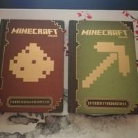 minecraft le due guide