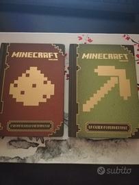 minecraft le due guide