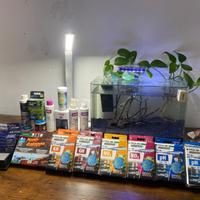 Acquario zolux clear 40 da 22L maturo +prodotti m