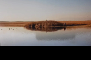 Appostamento caccia palmipedi