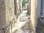 Immagine 15