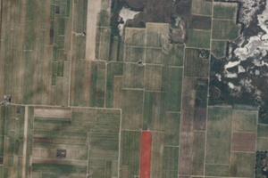 Terreno vitato di 2,5 ettari