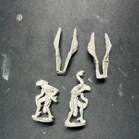 Dunwich detectives bywkhee