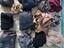 Immagine 2