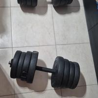 manubri da 15 kg tot 30 kg