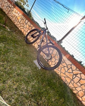 Mtb specialized