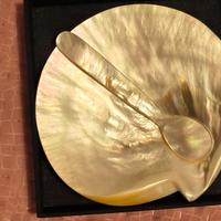 posate e piatto per caviale il madreperla con astu