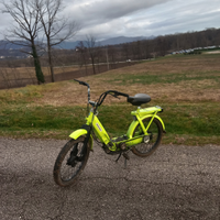 Ciao (65)