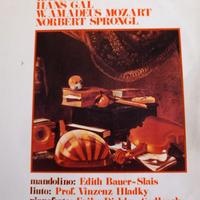 Disco vinile Il Mandolino Virtuoso Mozart