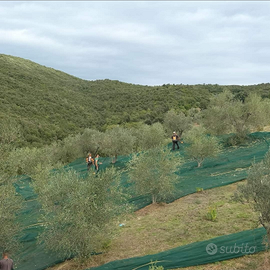 Terreno e fabbricato in Maremma