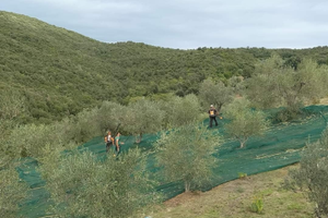 Terreno e fabbricato in Maremma