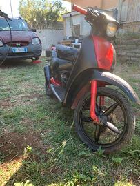 Scarabeo 50 leggere bene